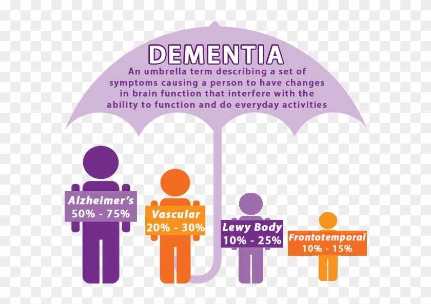 Courtesy Of Alzhiemer's - Difference Between Dementia And Alzheimer's #543138