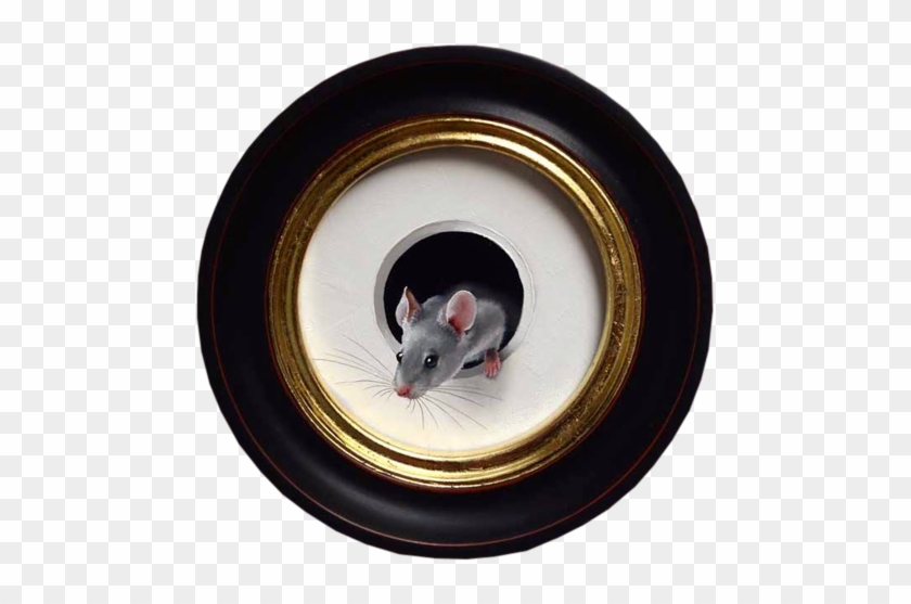 Rat #543228