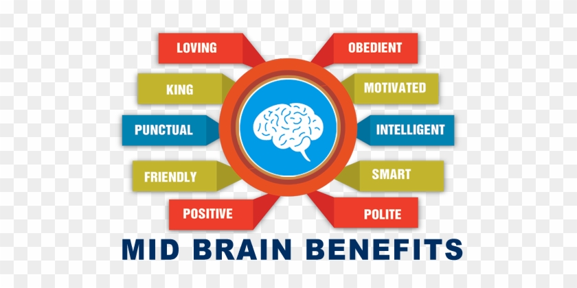 Computer Calculation Speed - Benefits Of Mid Brain Activation #543280