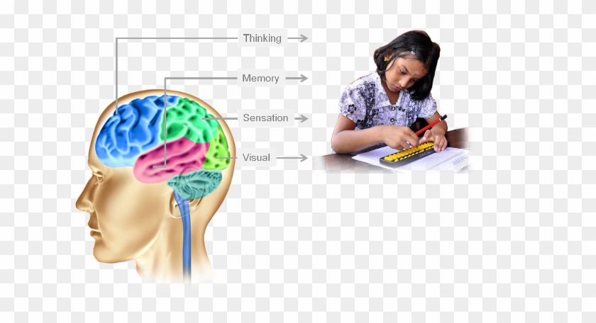 About Us - Abacus Brain #543289