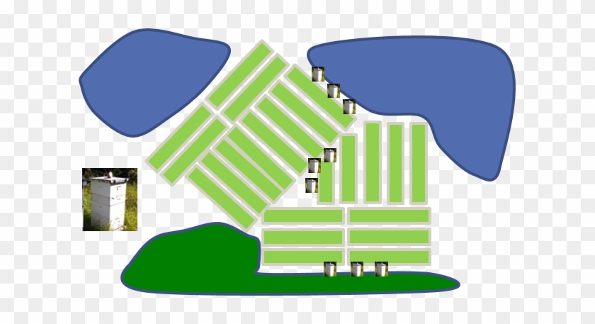 Each Marsh Was Classified As “high” Or “low” Woodland - Each Marsh Was Classified As “high” Or “low” Woodland #543315