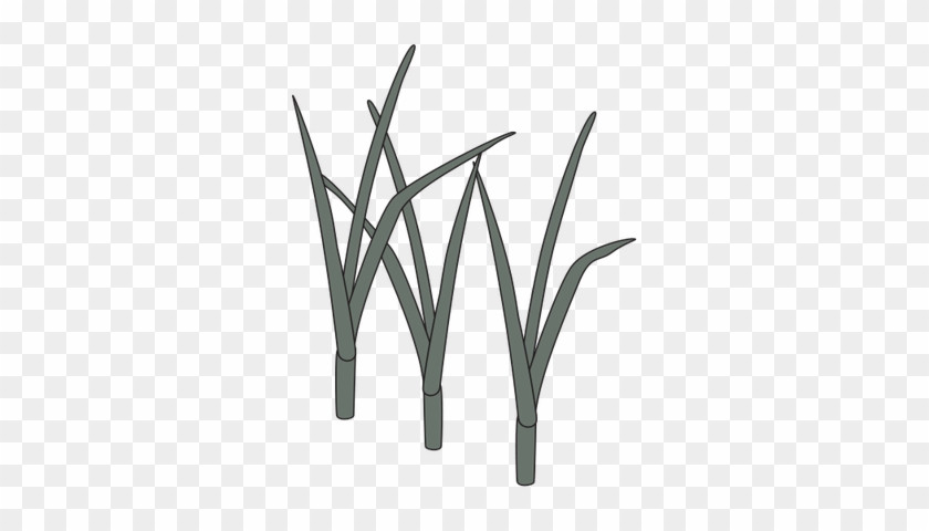 Ian Symbol Reeds - Wetland Symbol #543329