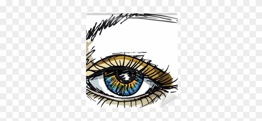 Female Blue Eye - Vector Graphics #543399