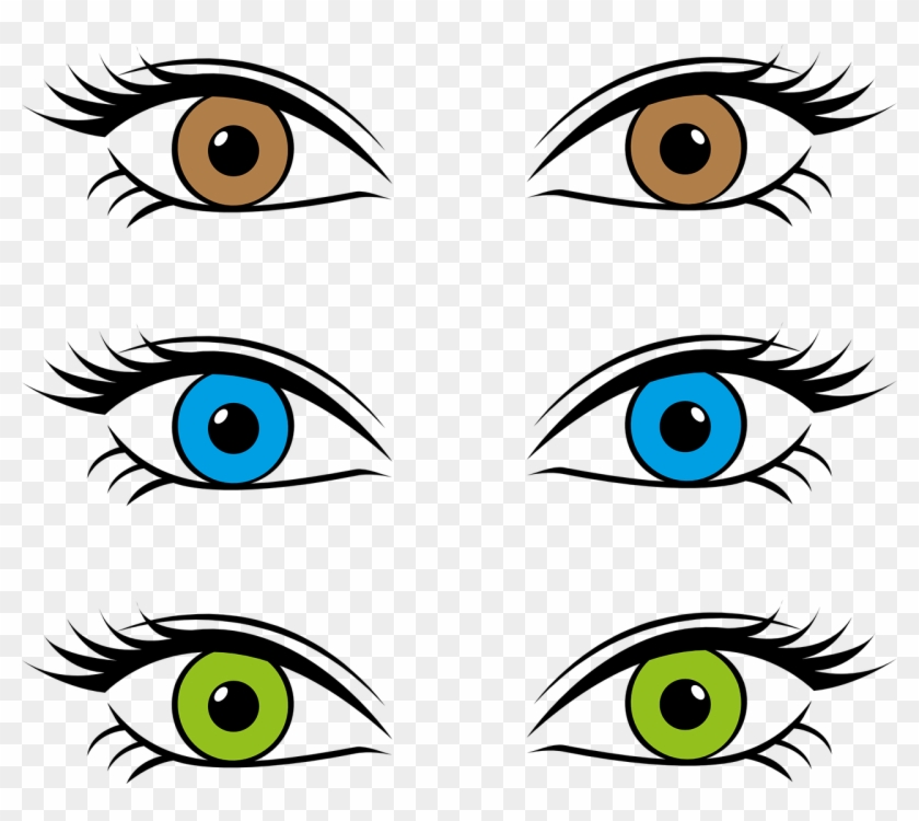 Eyes Eye Color Iris Brown Blue Png Image - Three Eye Colors #543438