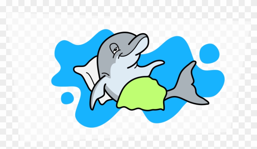 Dolphins Sleep By Resting One Half Of Their Brain At - Dolphins Sleep By Resting One Half Of Their Brain At #543741