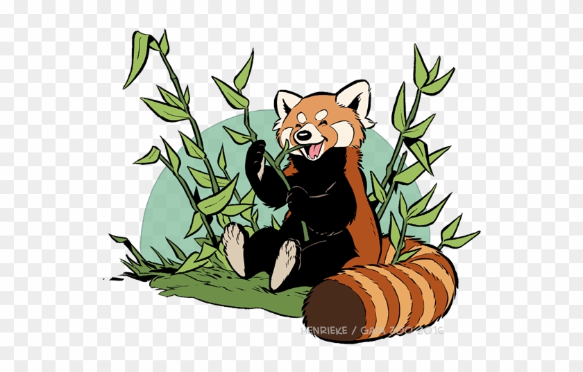 Red Panda Clipart - Red Panda Exhibit #543803