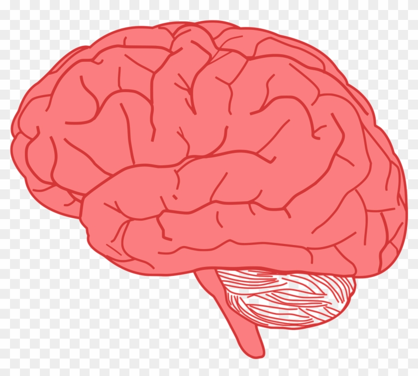 This Free Icons Png Design Of Brain In Profile - Brain Clipart #544035