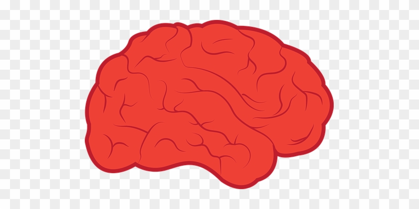 Brain Neurology Mind Anatomy Medicine Psyc - Dementia #544067