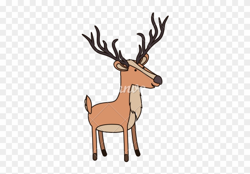Deer Cartoon With Long Horns - Vector Graphics #544131