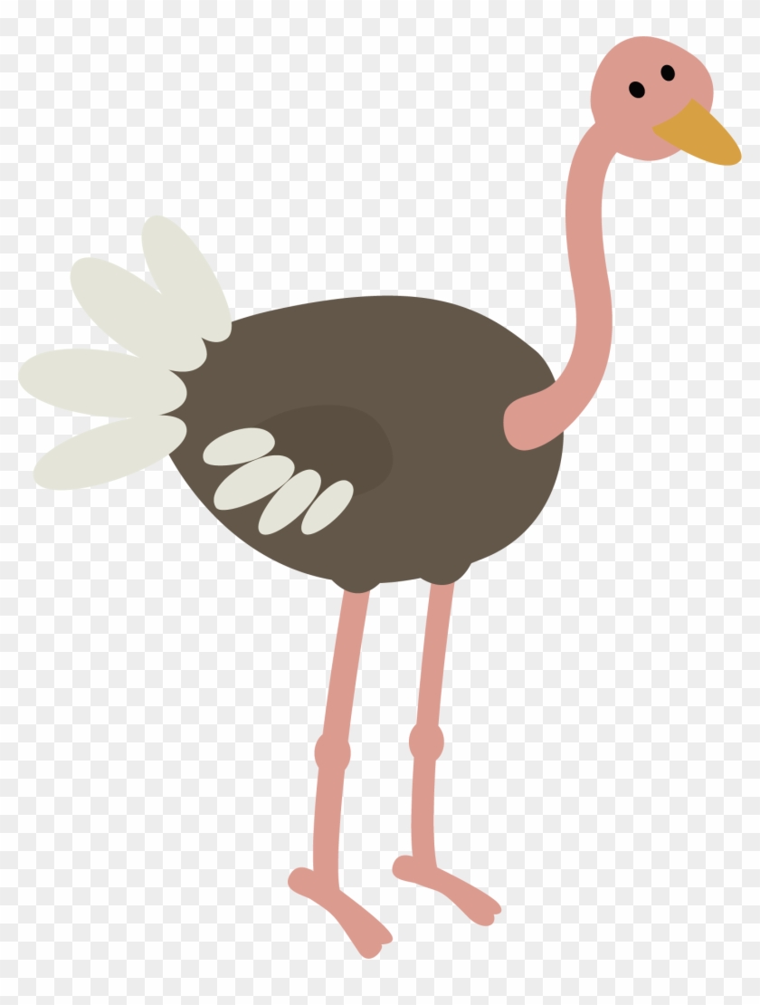 Common Ostrich Bird Animal Illustration - Common Ostrich Bird Animal Illustration #544144