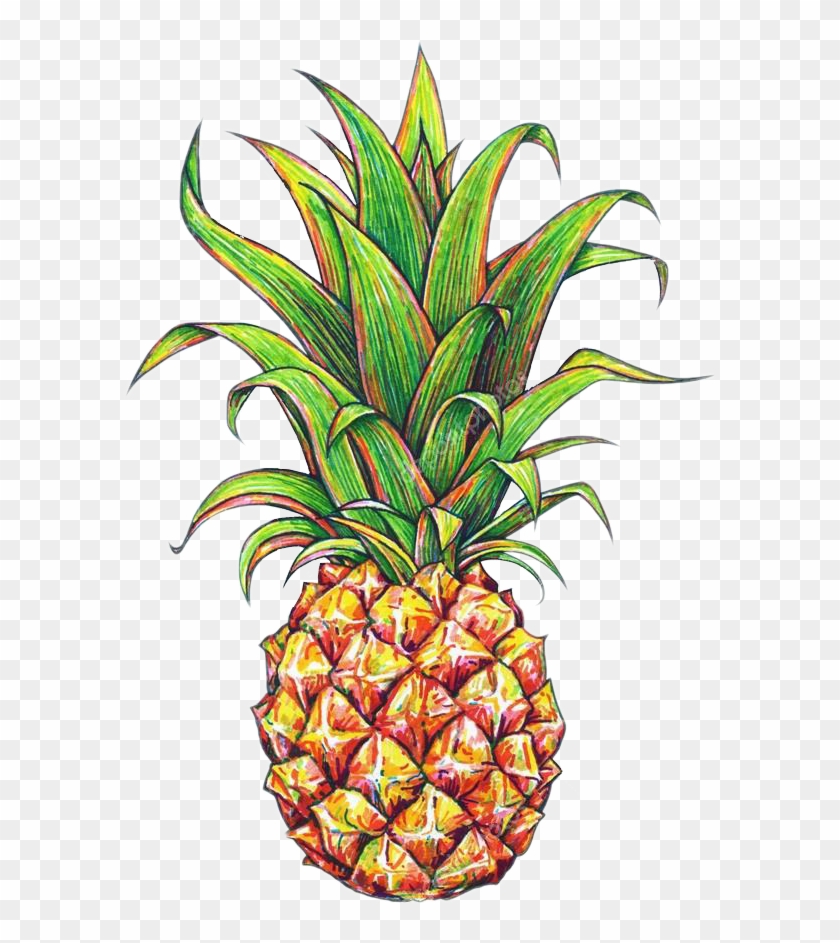 Report Abuse - Pineapple Png #544168