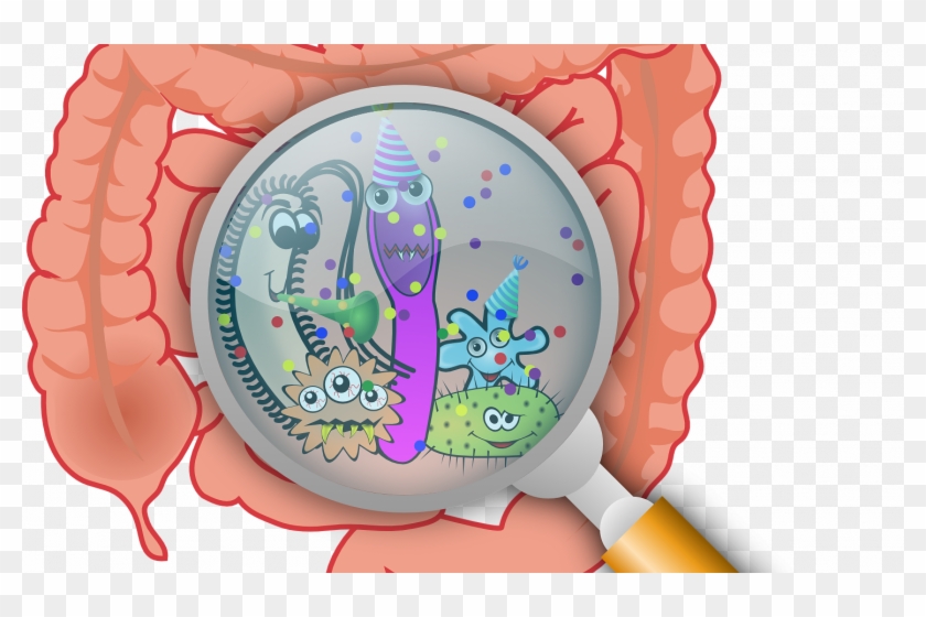 Gut Microbiome Gut Bacteria - Free Transparent PNG Clipart Images Download
