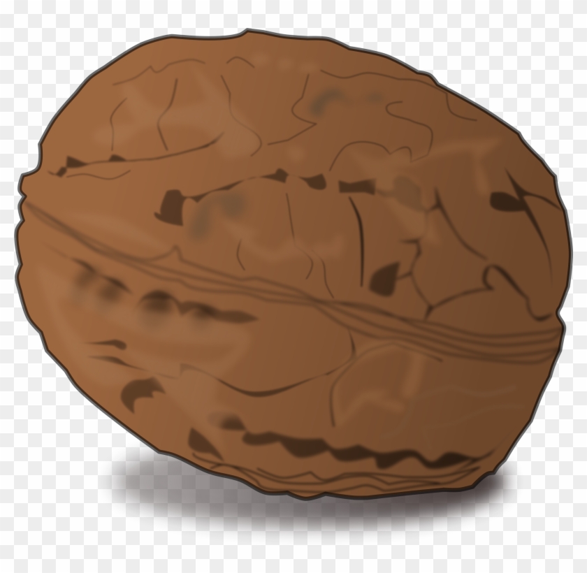 Walnut - Walnut Png Clipart #544255