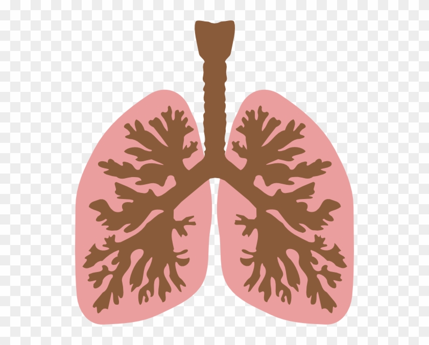 Lungs And Bronchus Clip Art At Clker - Lungs Clip Art #544306