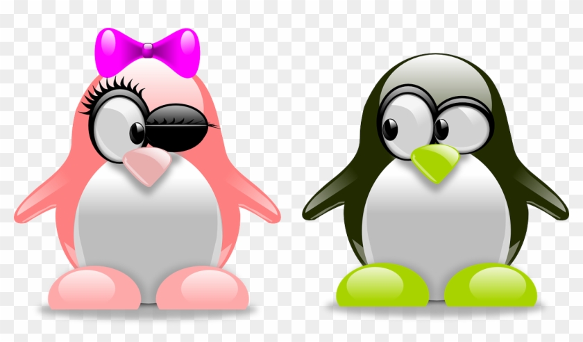 Valentines Day Couple Png High-quality Image - Fun Facts About Penguins #94985