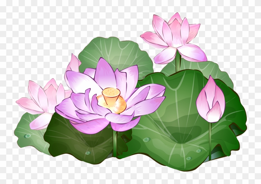 Lotus Flower Clipart - Lotus Flower Clipart Png #95247