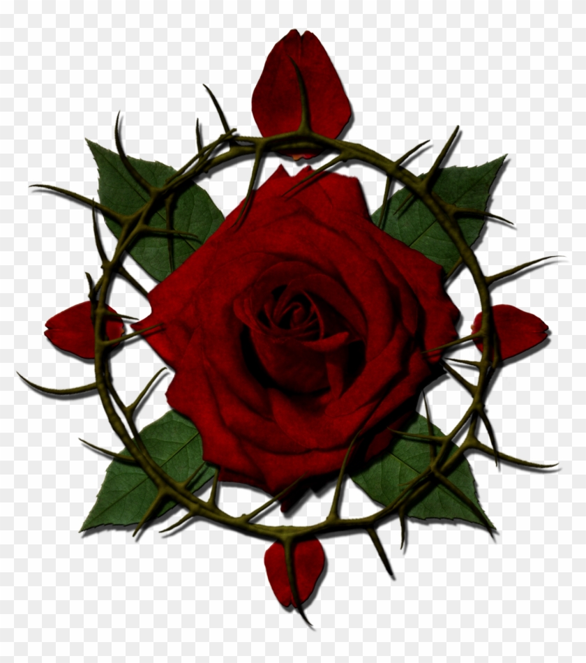 View Forum - Roses With Thorns Png #95513