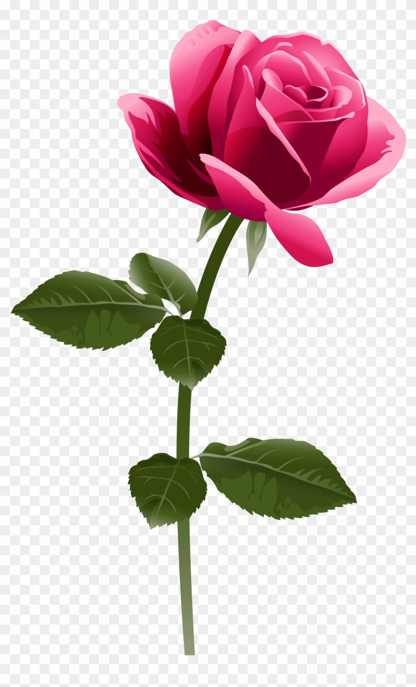 Pink Rose Png Clip Art Image - Fuchsia Pink Flower Png #95866