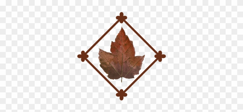 Leaf Flourish - Maple Leaf #96437