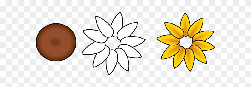 Six Petal Flower Template - Flower With Ten Petals #96624