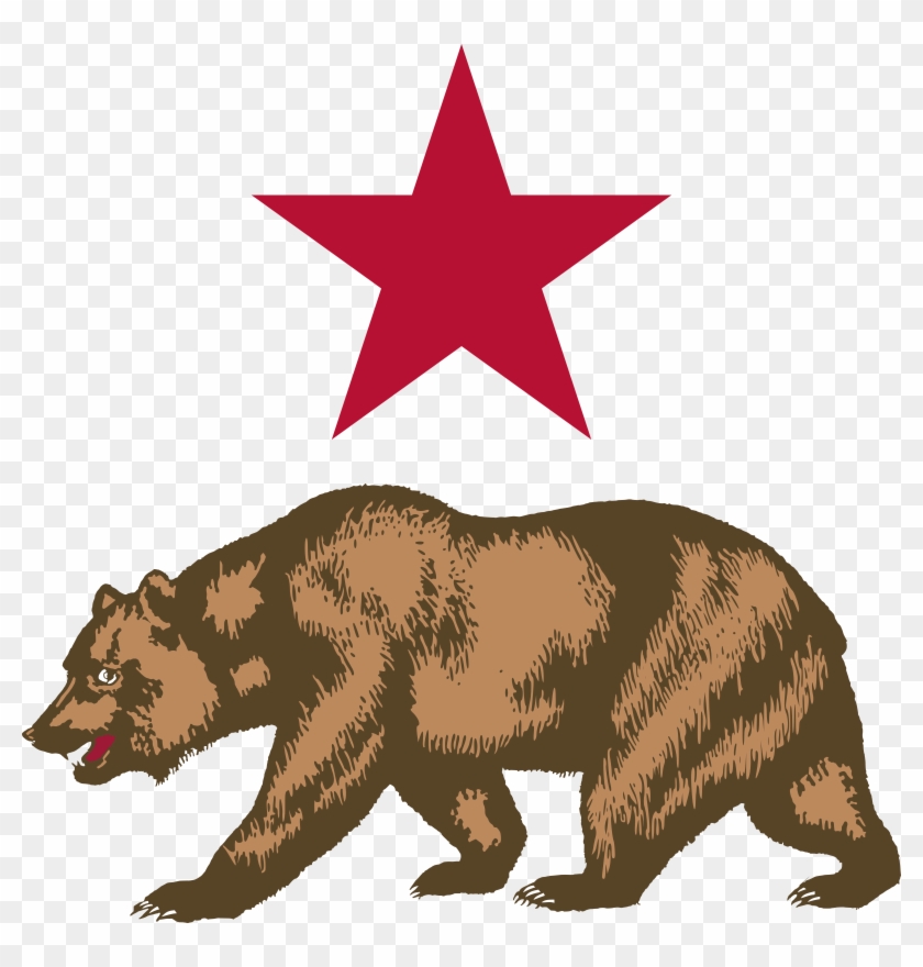 Star And Bear Clipart - Draw The California Bear #97558