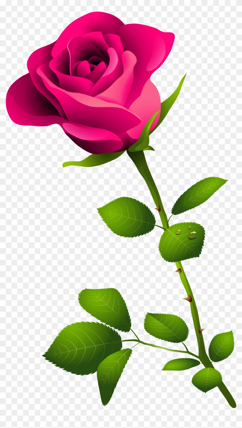 Clip Art Pink Rose Pink - Happy Rose Day Image Download #98190