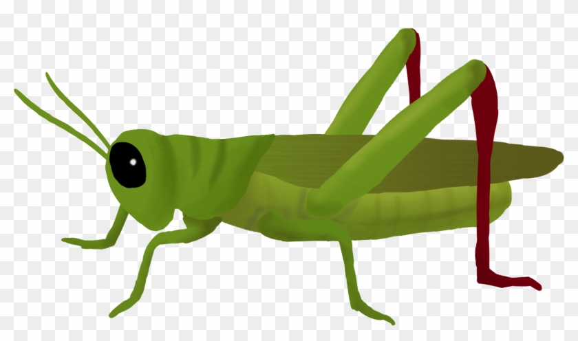 Grasshopper - Grasshopper Clipart #98813