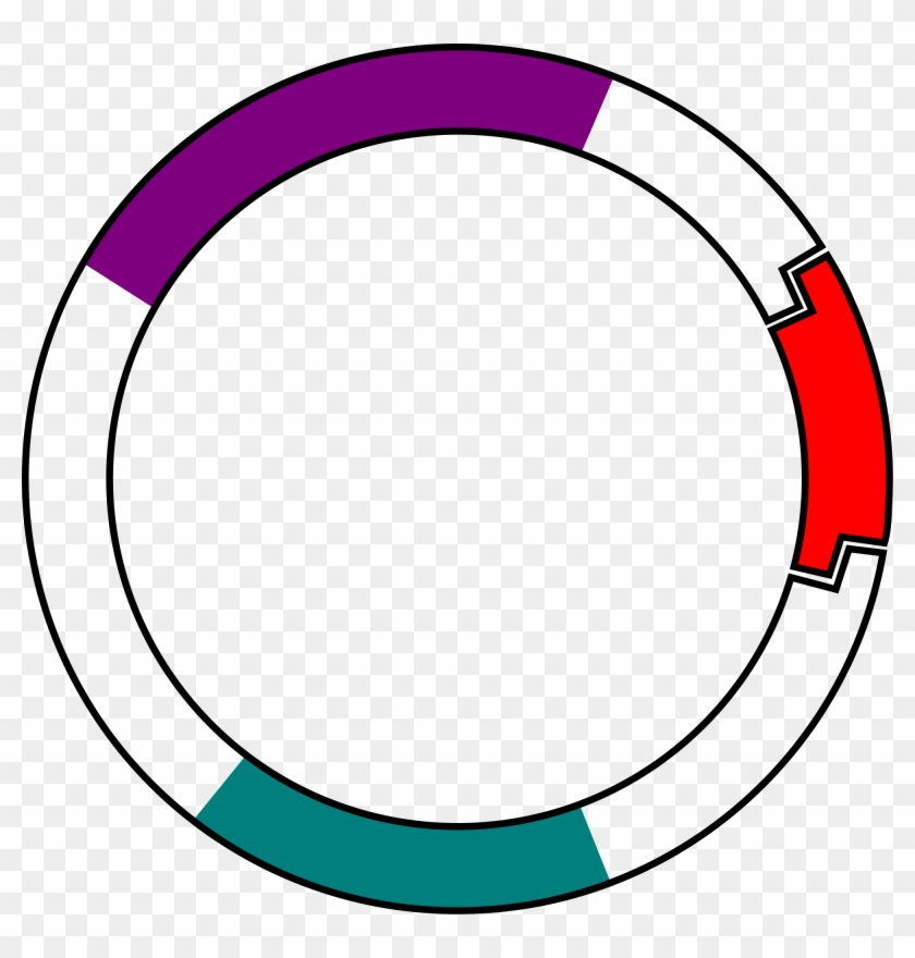 Chassis - Selectable Marker Gene #99095