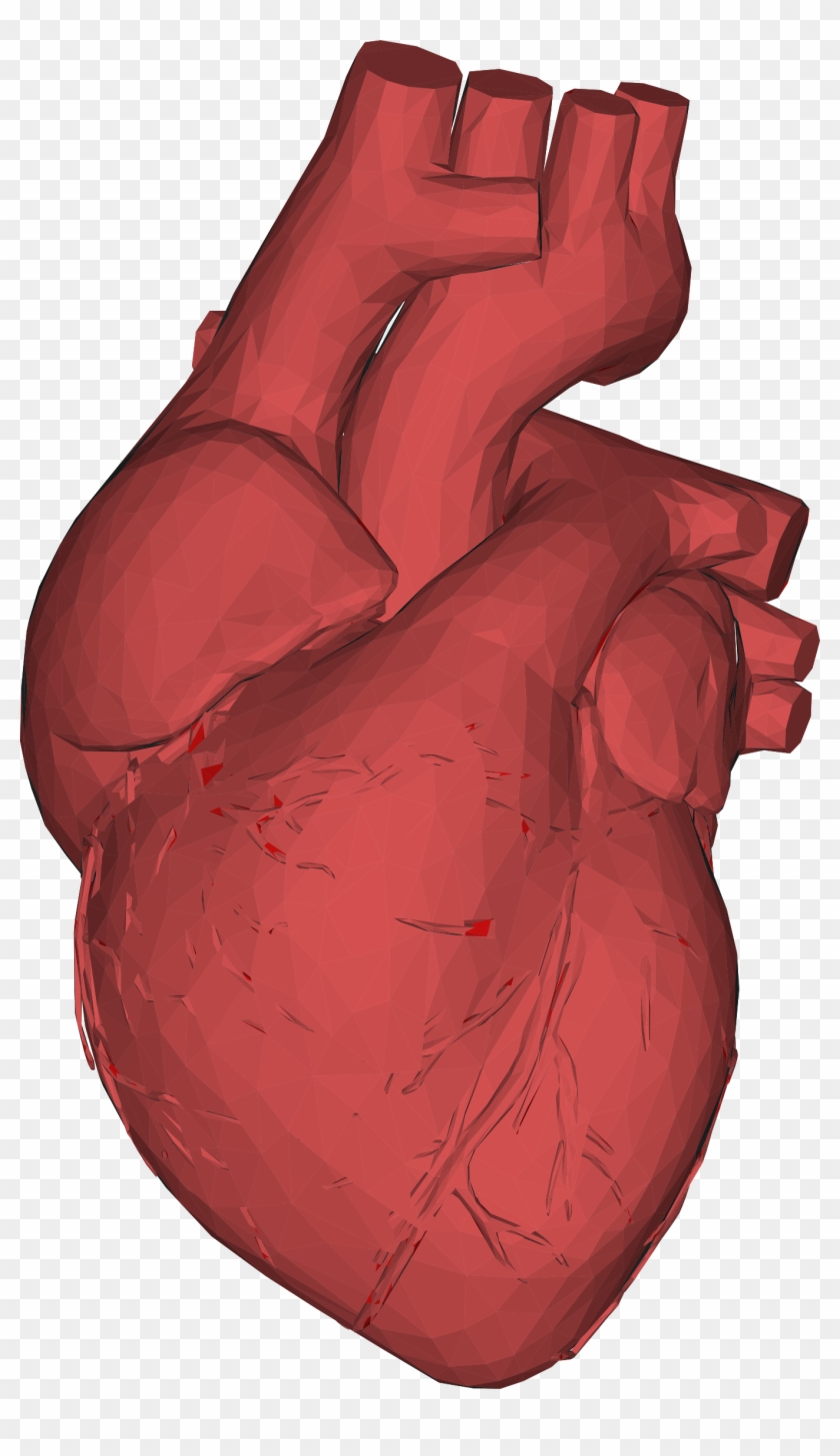 Big Image - Human Heart 3d Png #100083