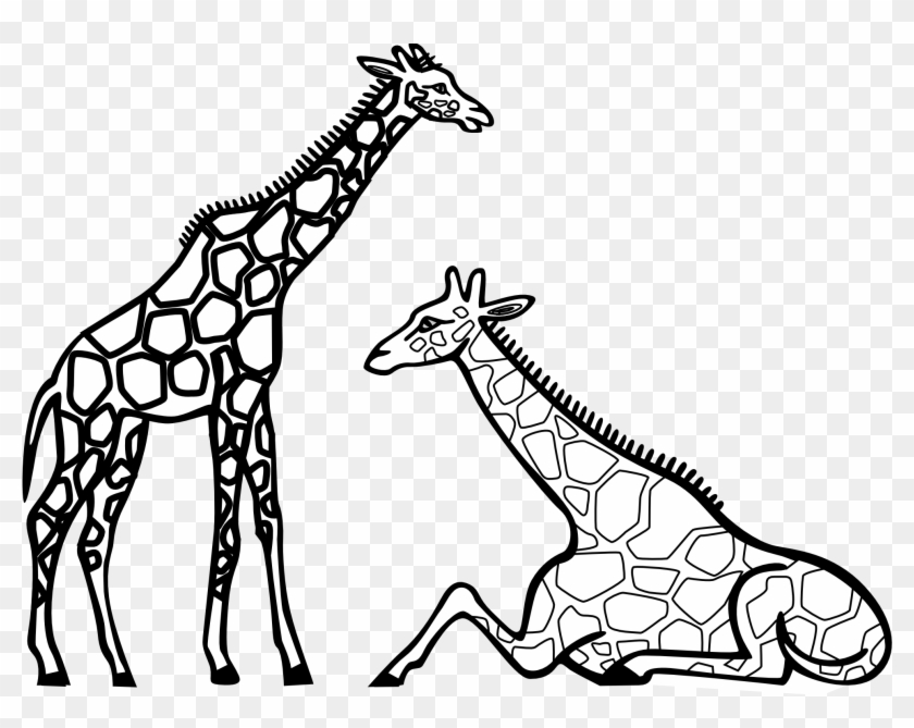 Giraffe Clip Art Outline - Giraffe Coloring #100192