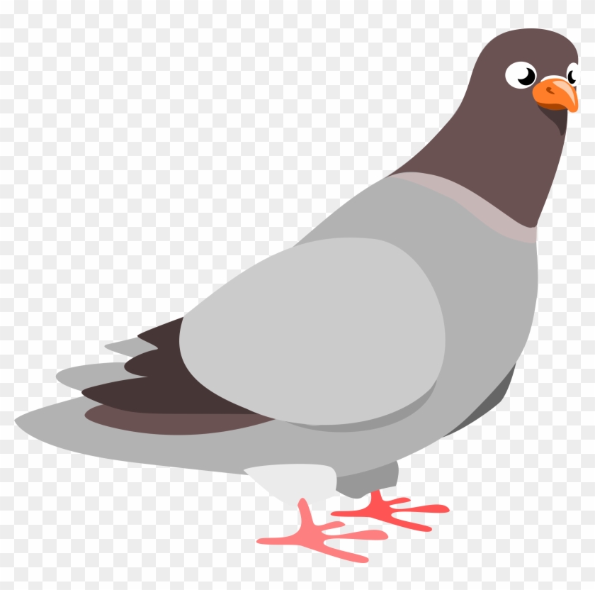 Pigeon Clip Art - Clipart Pigeon #100966