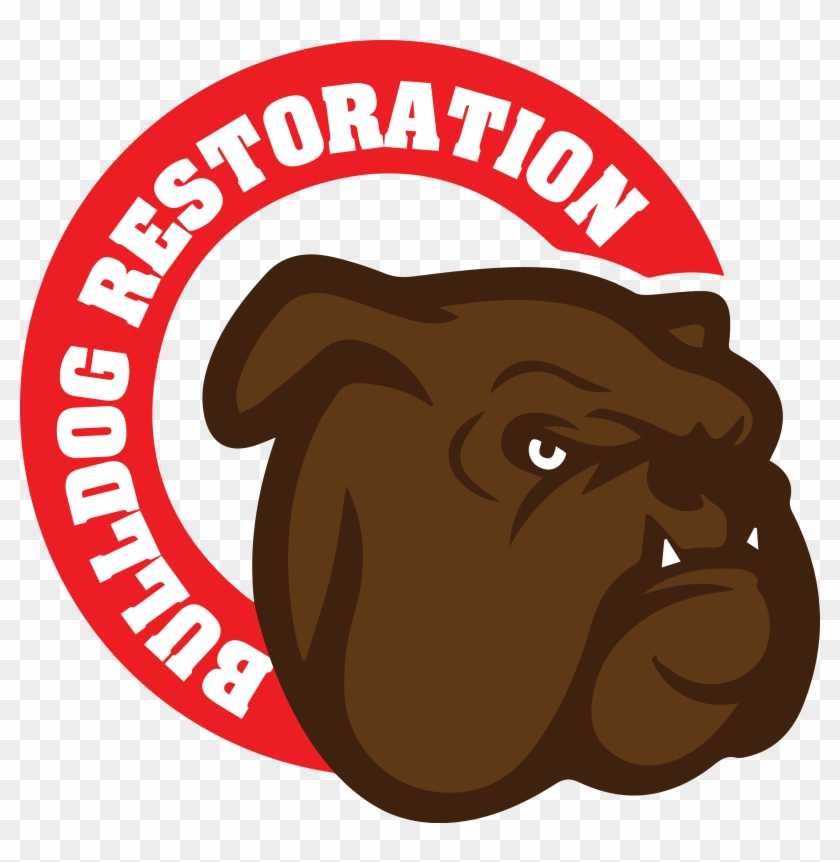 Bulldog Water Restoration - Aez Zakakiou Logo #101337