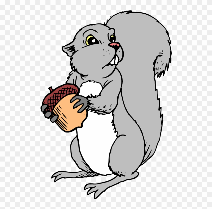 Free Squirrel Clipart - Squirrel Coloring Page #101344