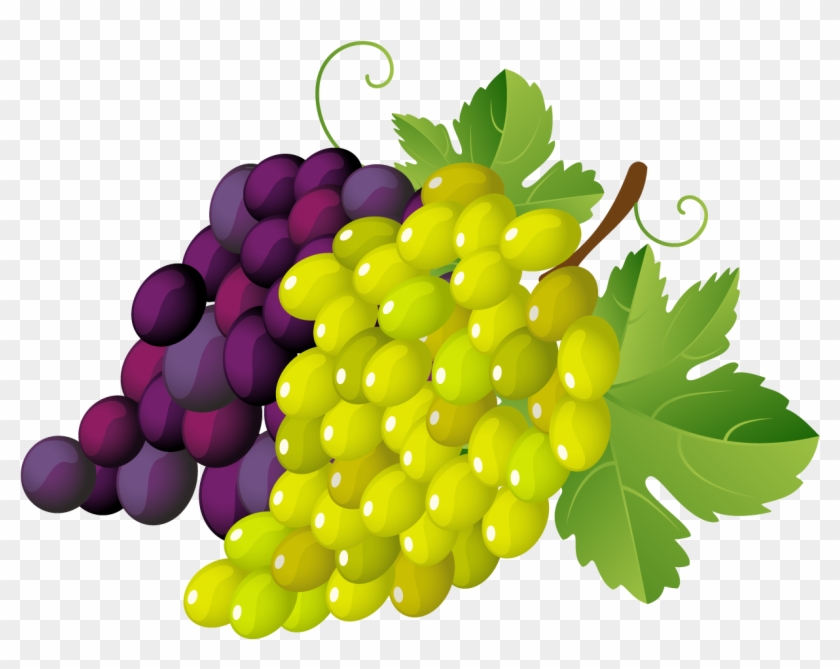 Clip Art Grapes - Clipart Images Of Grapes #102785