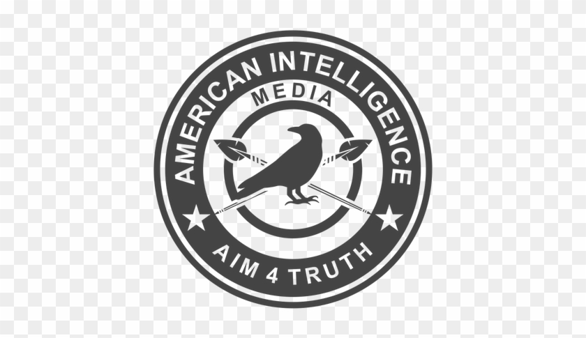 American Intelligence Media - 3.8 Inch Army Intelligence Iraq Veteran Decal #545407
