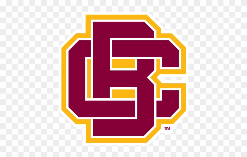 13, 12 September 2016 - Bethune Cookman Wildcats Logo #545689