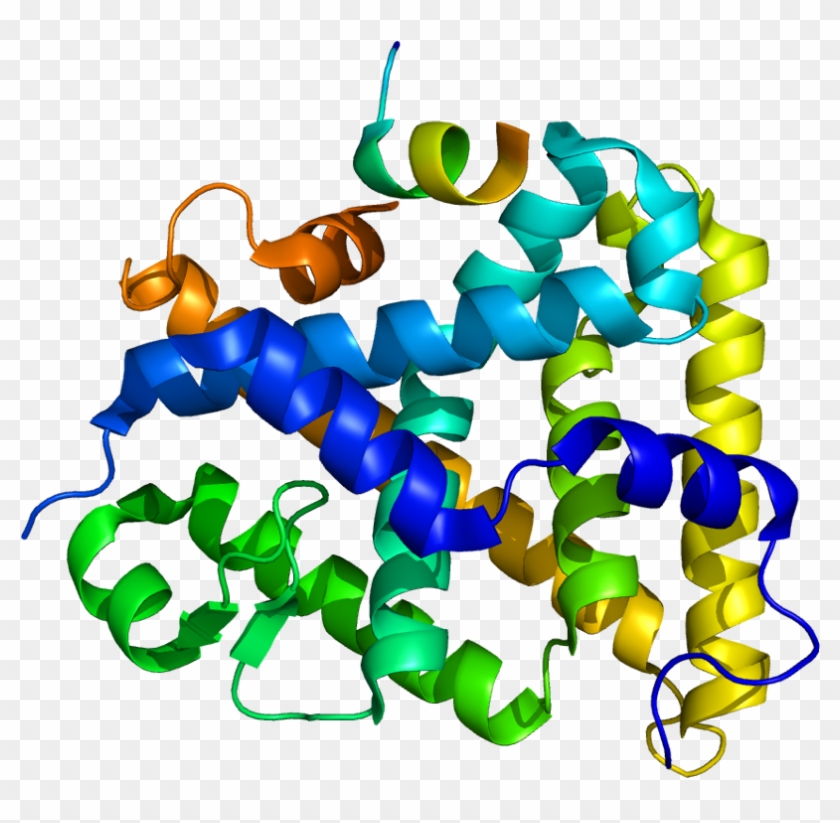 Steroidogenic Factor 1 #545752