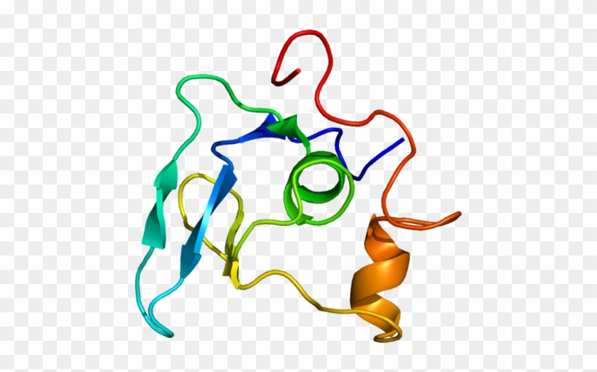 Available Structures - Fbn1 #545925