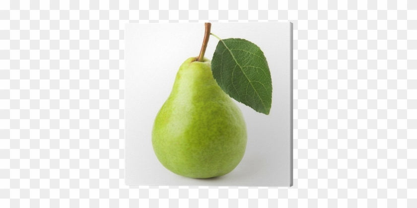Asian Pear #546166