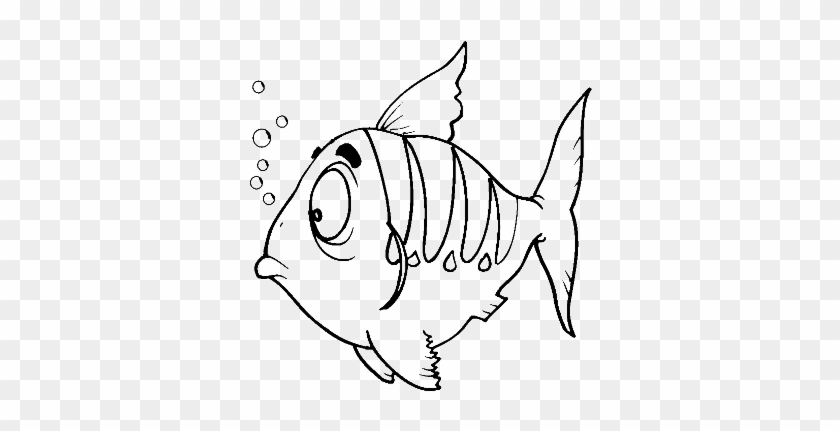 Colours Drawing Wallpaper Fish Cartoone Colour Drawing - Coloring #546372