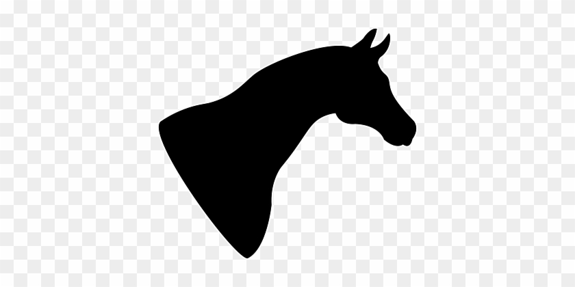 Horse Silhouette Head Ride Black Logo Hors - Horse Head Silhouette Png #546513