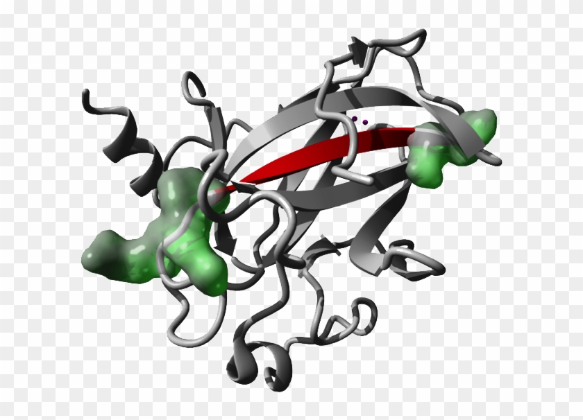 Enriched At The Flanks Of Aggregating Protein Sequences - Illustration #546536