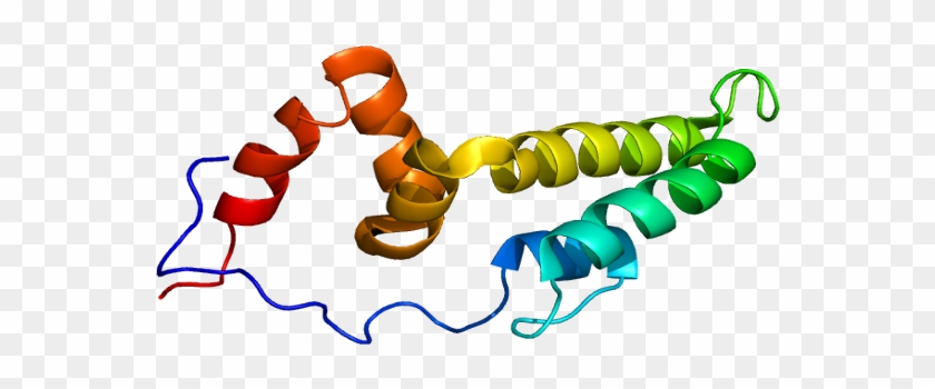 Protein String #546618