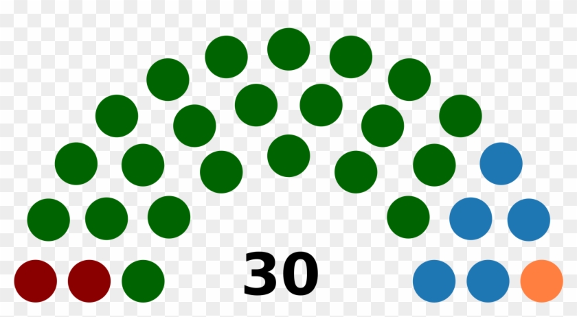 The Demorcratic National Convention, Los Angeles, July - Political System Of Seychelles #546815