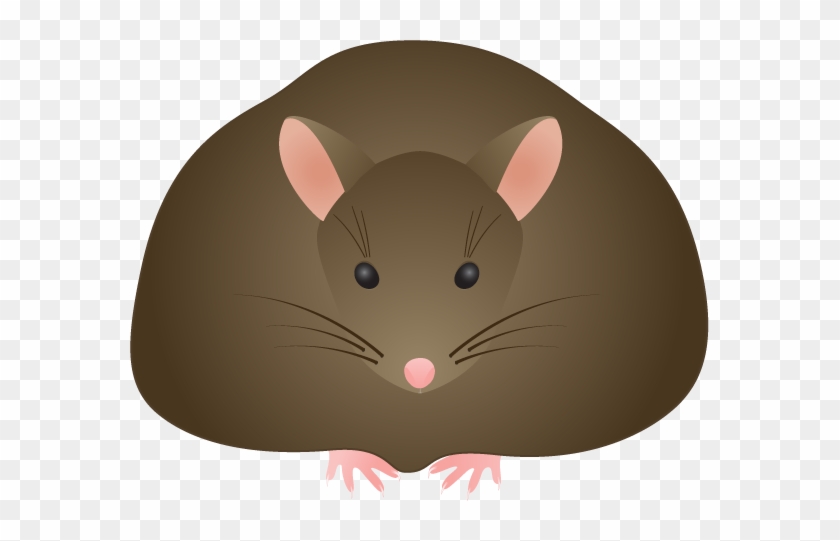 Brown Mouse Clip Art - Transparent Background Rat Gif #547569
