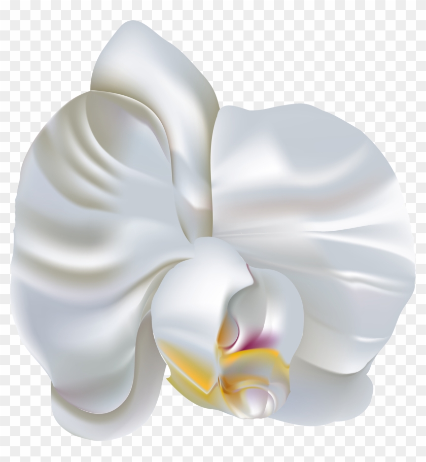 Flower Moth Orchids Clip Art - Flower Moth Orchids Clip Art #548295