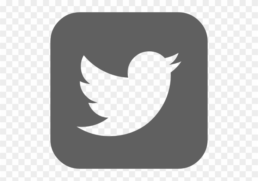 Fb Insta Twitter - Twitter Logo White On Blue #549031