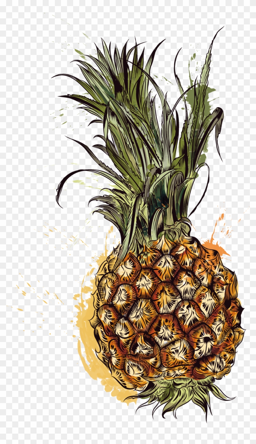 Pineapple Tropic Fruits - Vector Graphics #549370