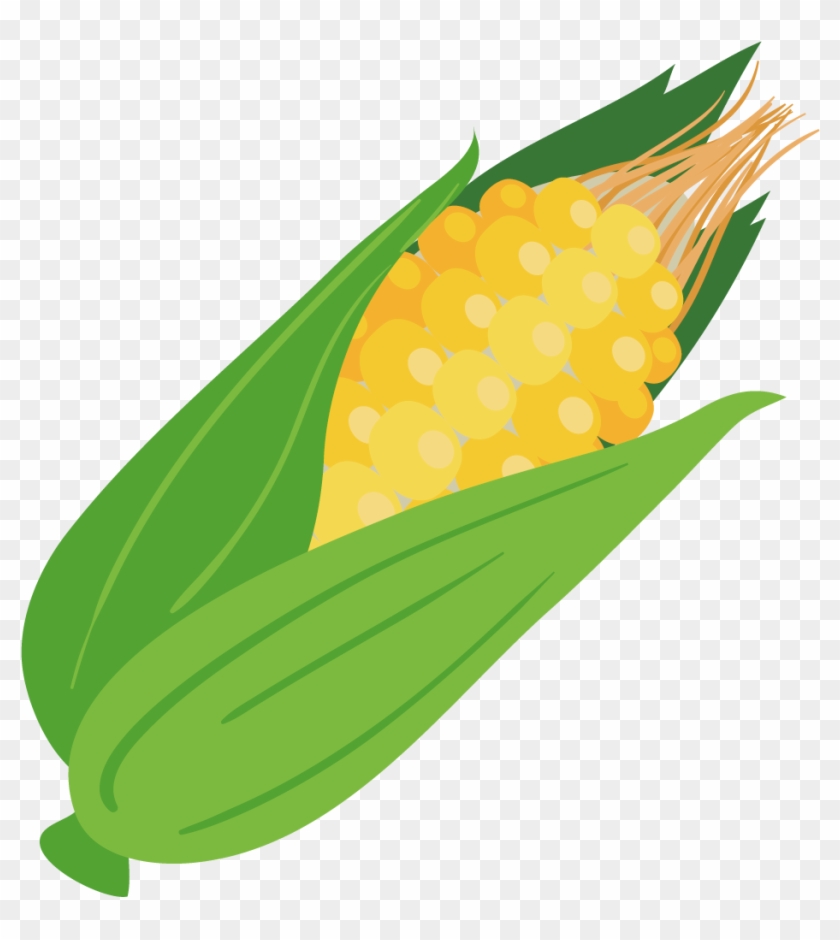 Corn On The Cob Maize Computer File - Maiz Vector Png #549464