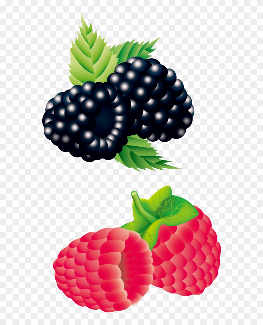 Raspberry Strawberry Blackberry - Raspberry Strawberry Blackberry #549539